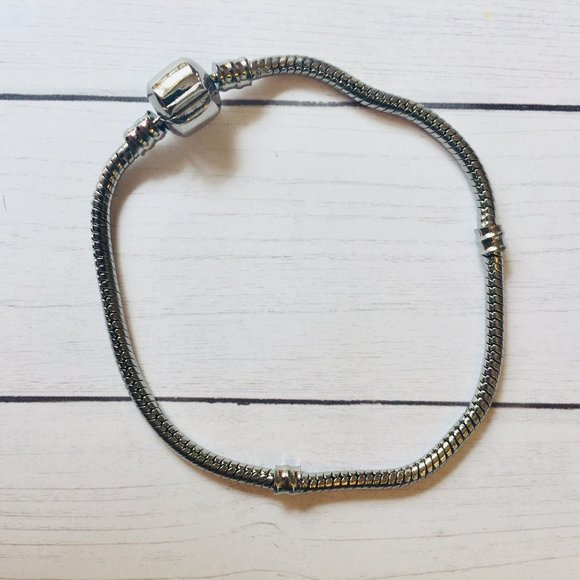 Jewelry - European Charm Bracelet NEW